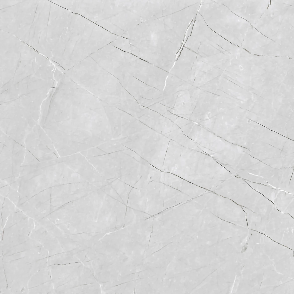 SILVER MIST 1181 - Image 2