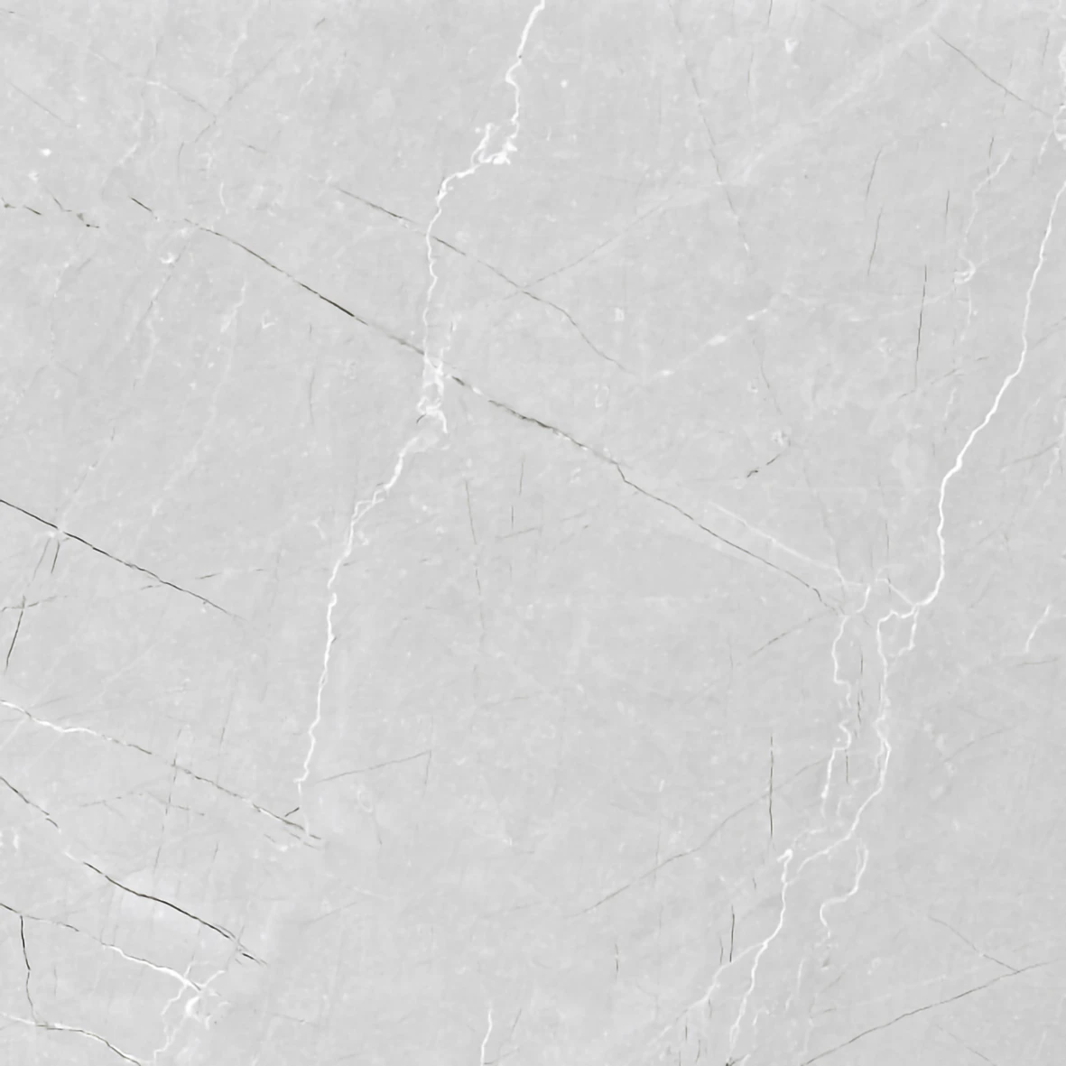 SILVER MIST 1181 - Image 3