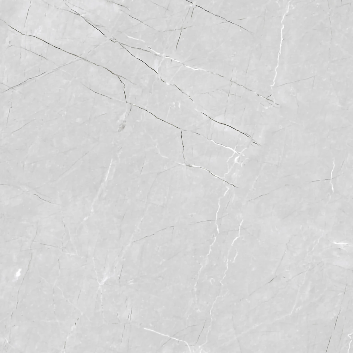 SILVER MIST 1181 - Image 4