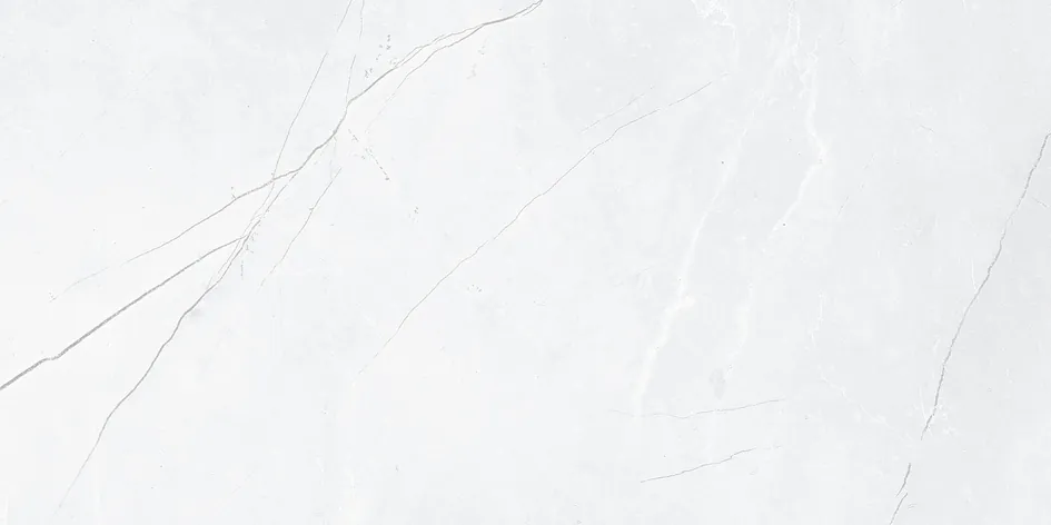 GVT 12292 Fiandre Gris 300x600mm