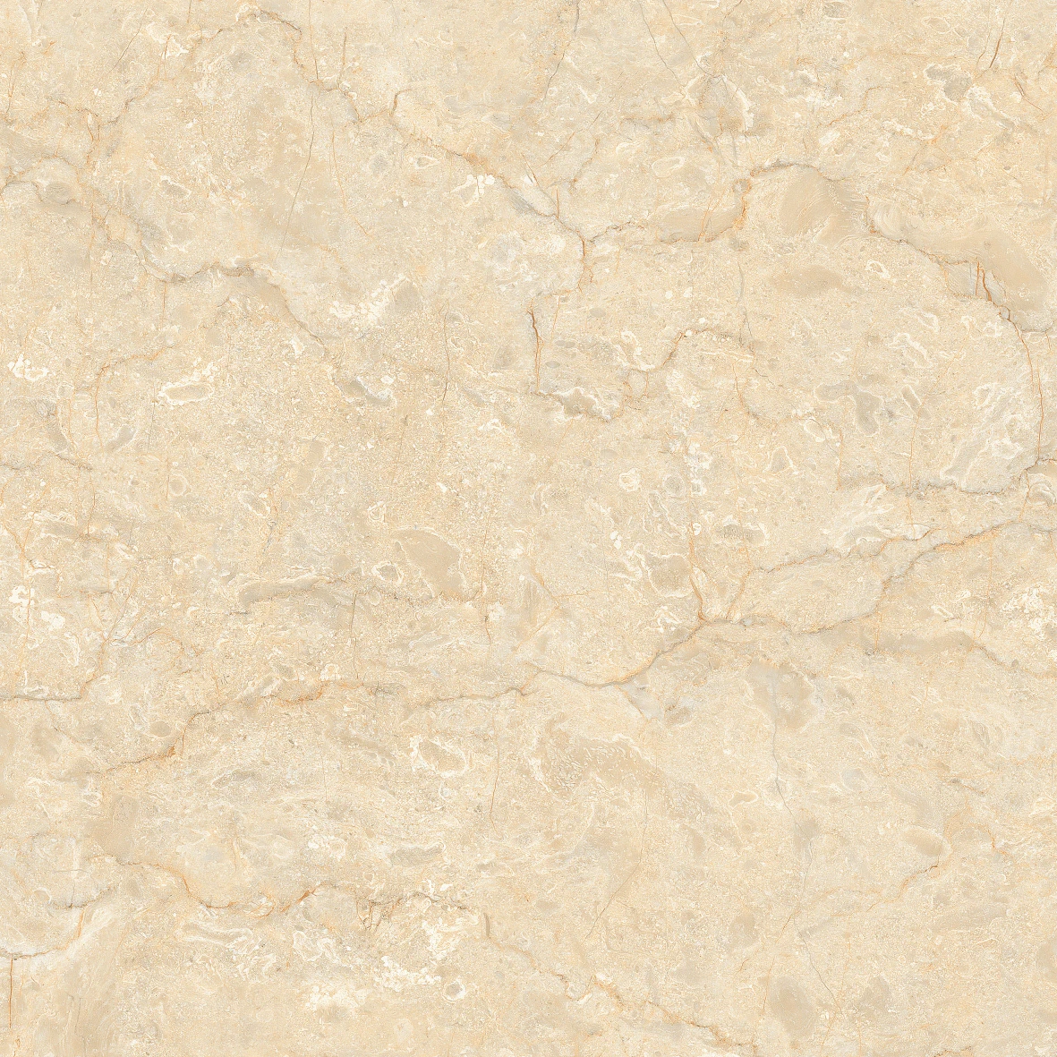 DESERT CREAM 1252 - Image 2