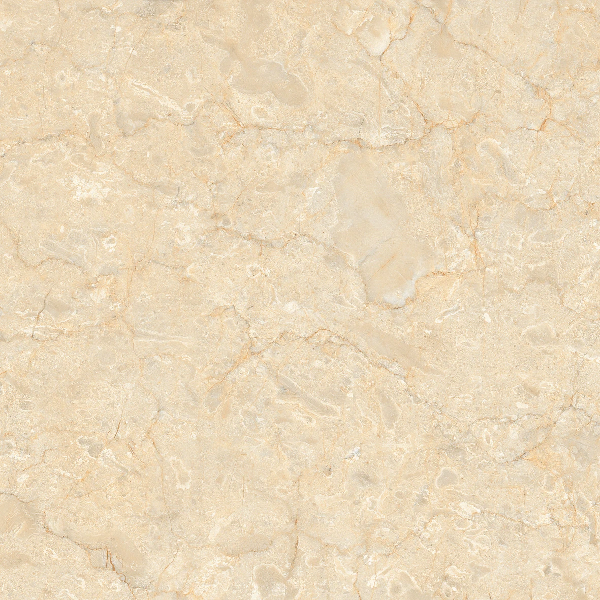 DESERT CREAM 1252 - Image 3