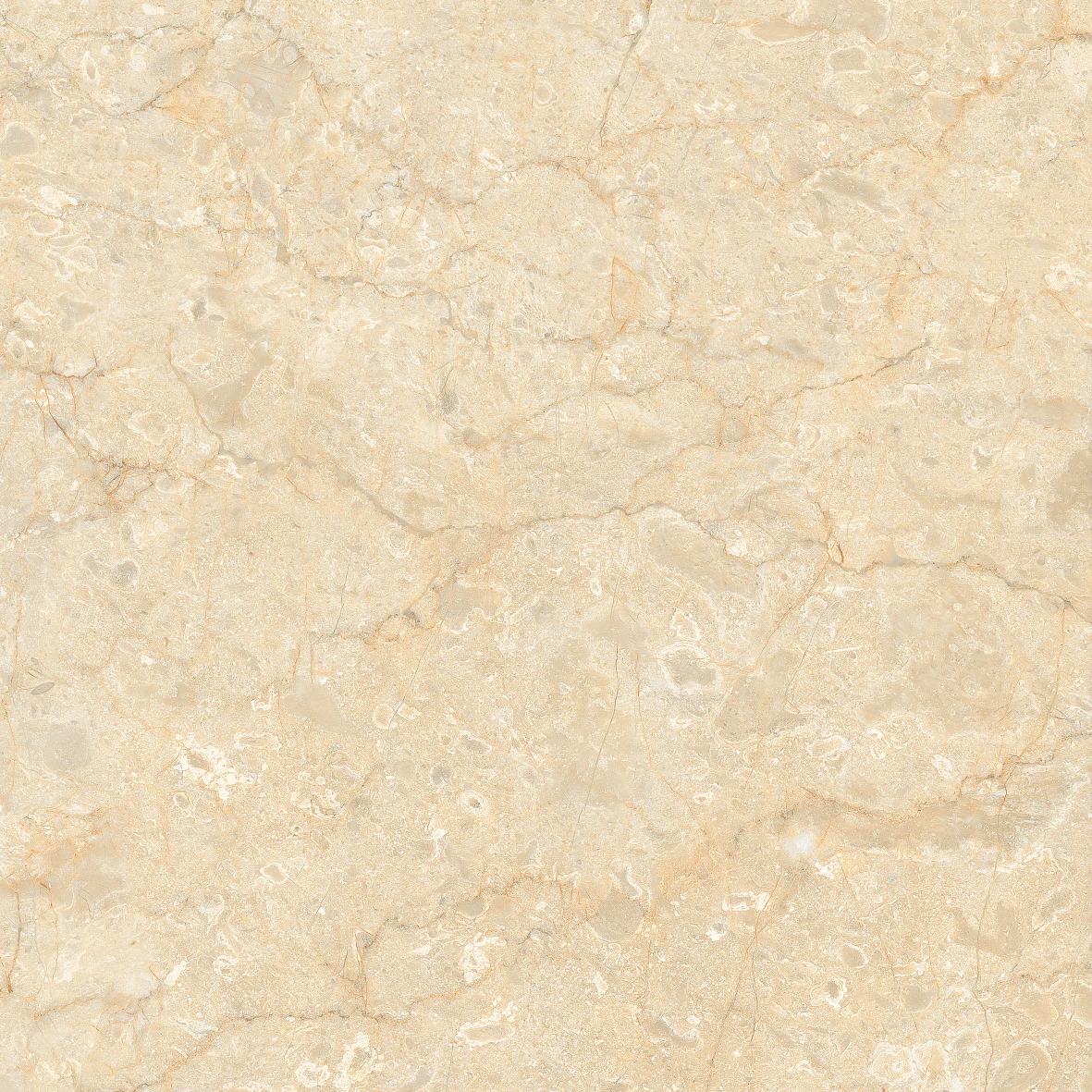 DESERT CREAM 1252 - Image 4