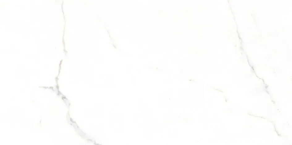 GVT 1314 Jupiter Statuario 300x600mm - Image 4