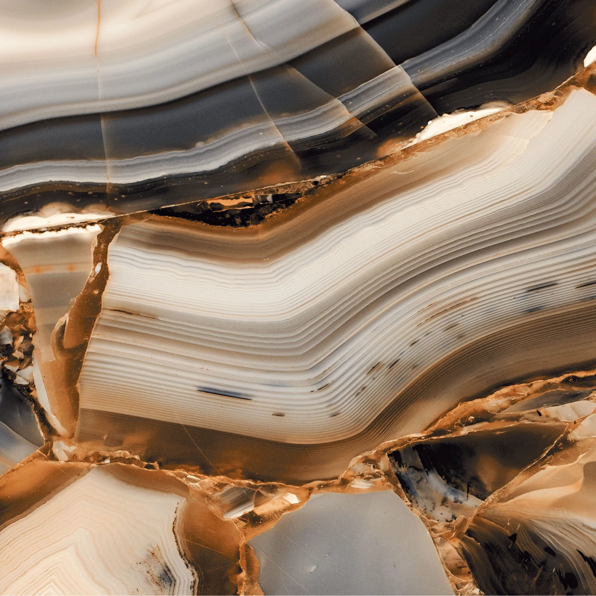 AGATE GOLD F1 M118
