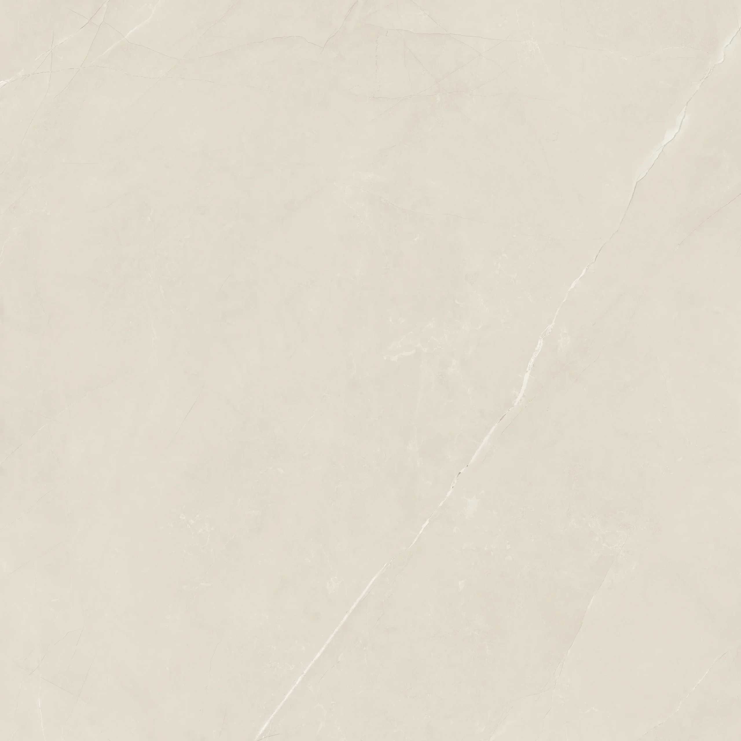 Armani Gris