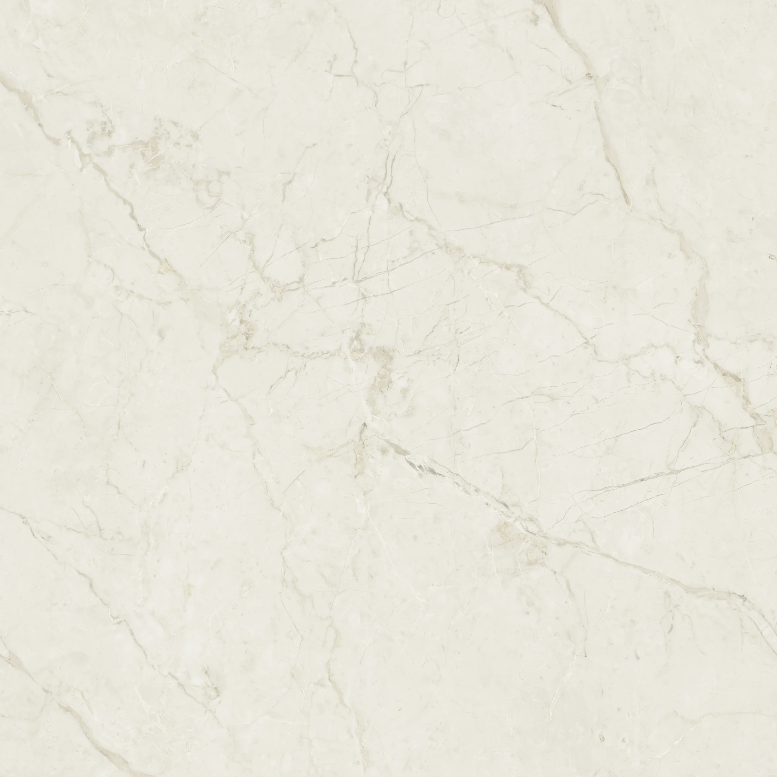 Infinity Birch