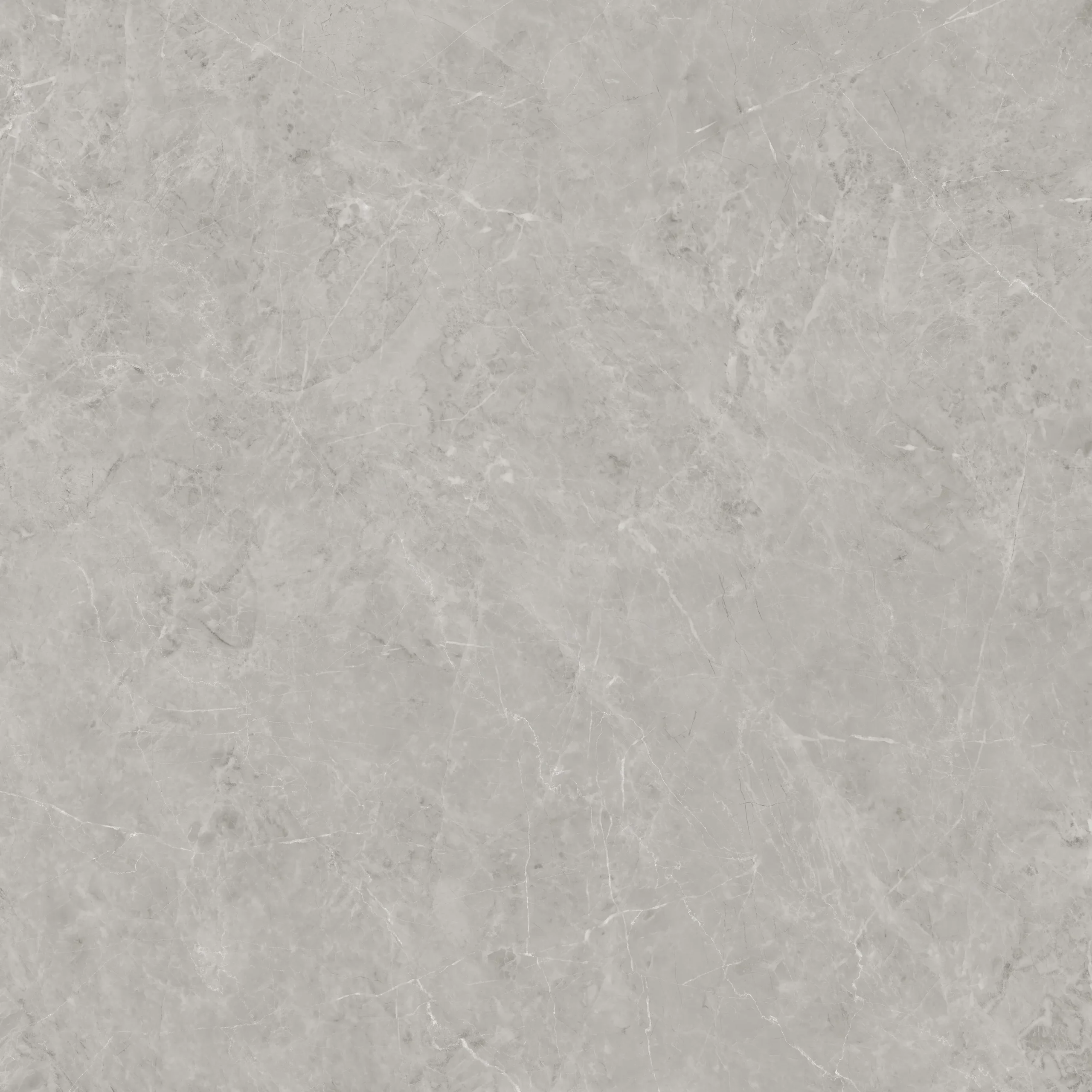 Iris Grey - Image 2