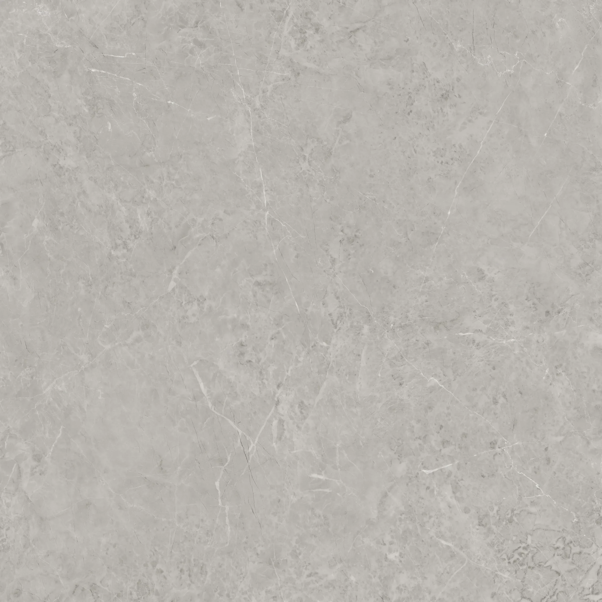 Iris Grey - Image 3