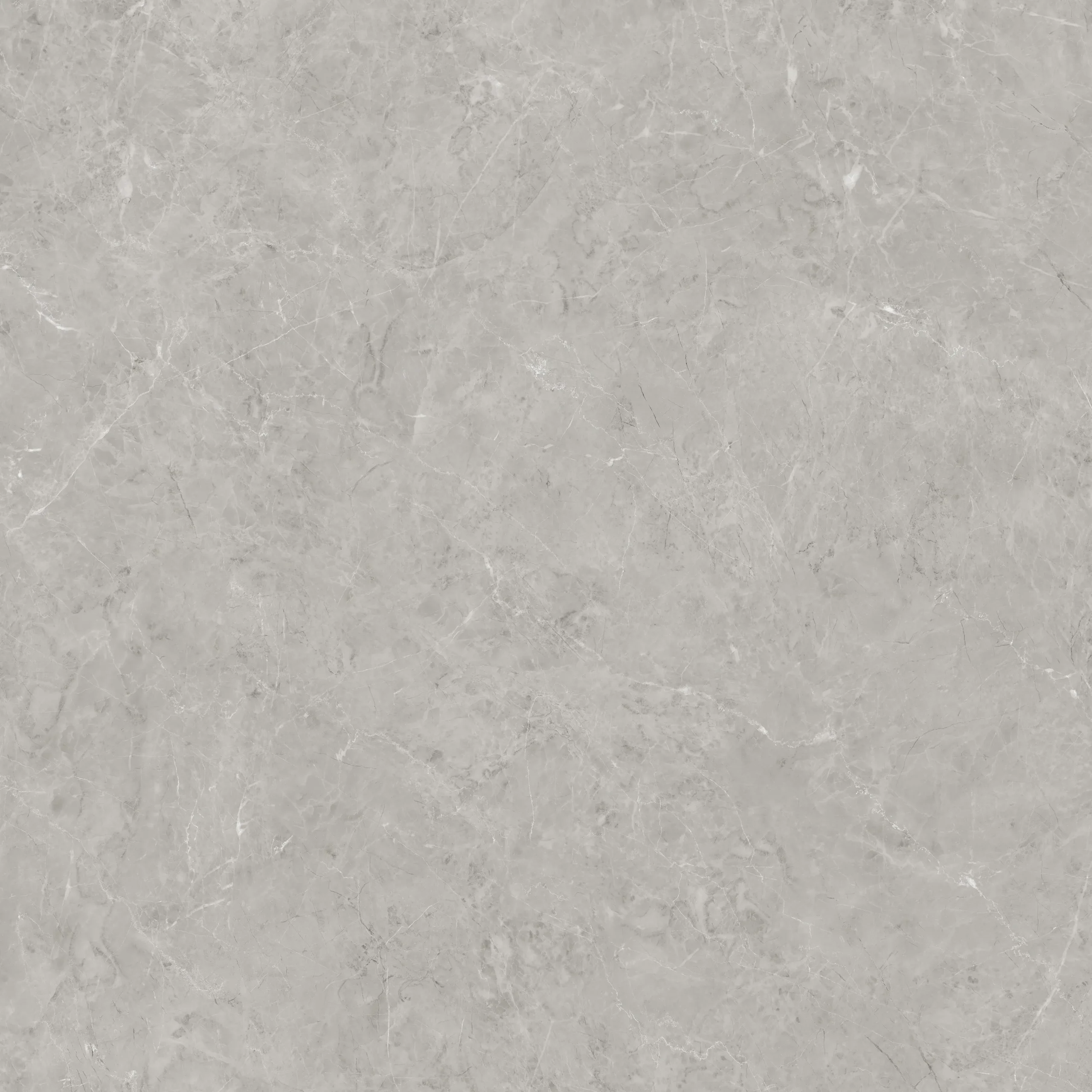 Iris Grey - Image 4