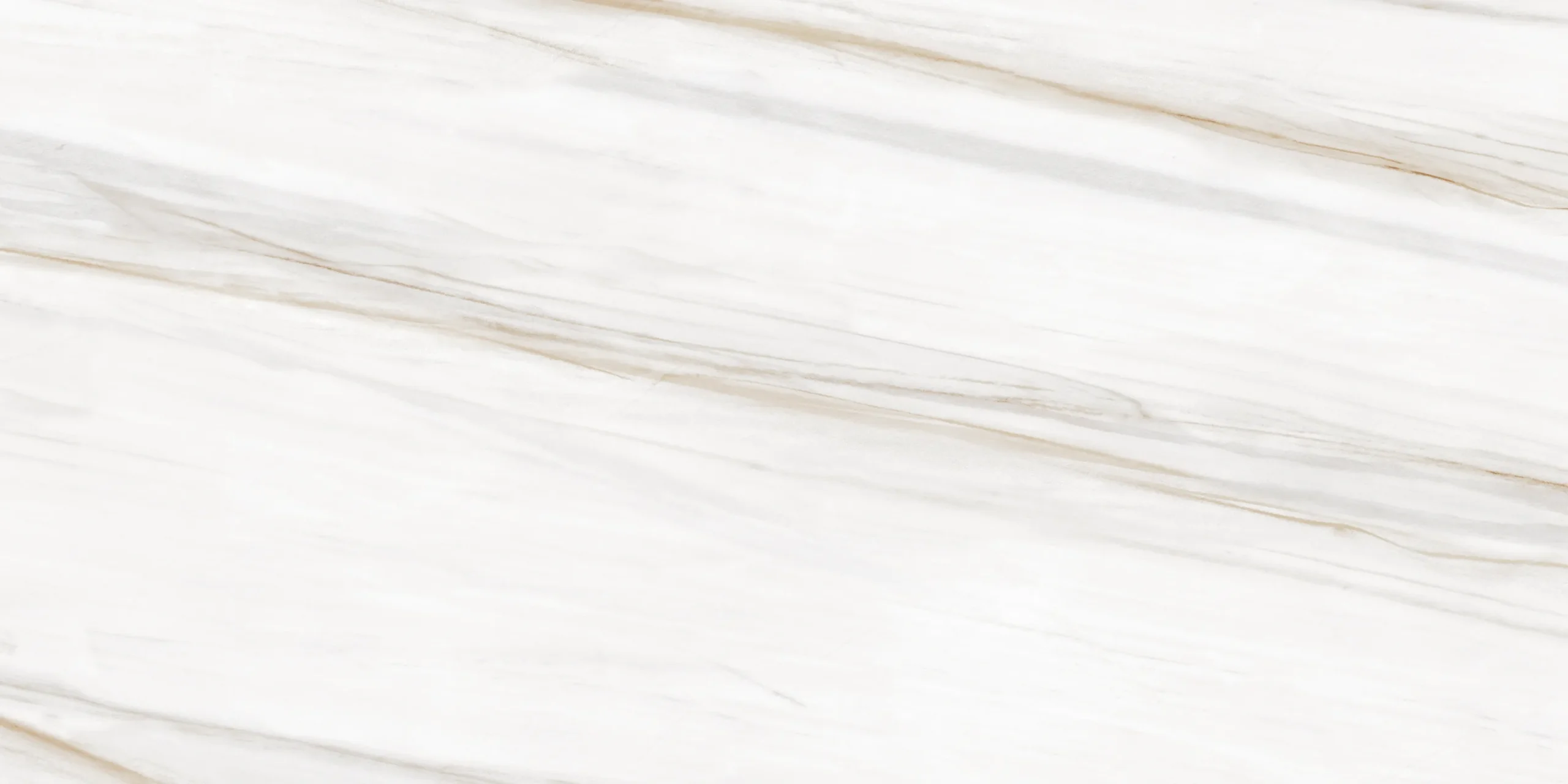 Limod Silk - Image 2