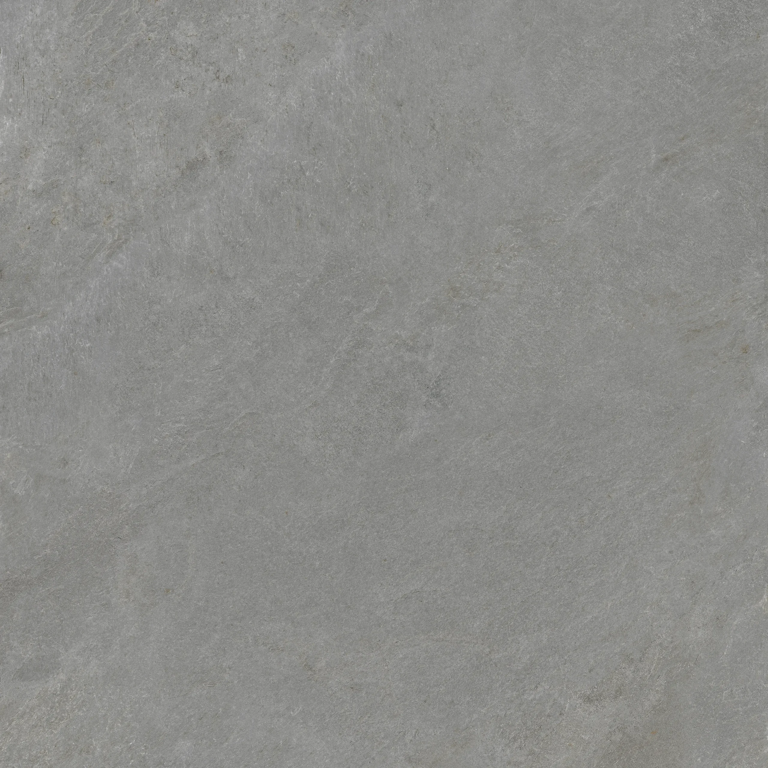 Lingtone Fossil