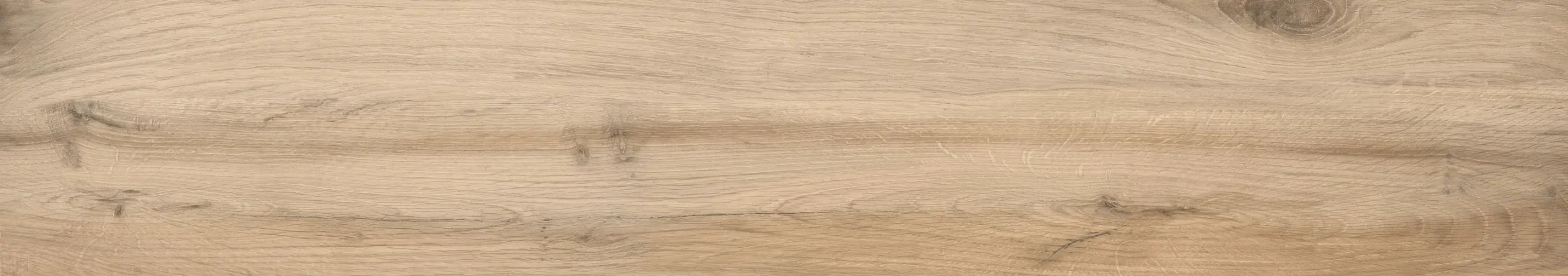 MAPLE COLOR OLIVE - Image 2