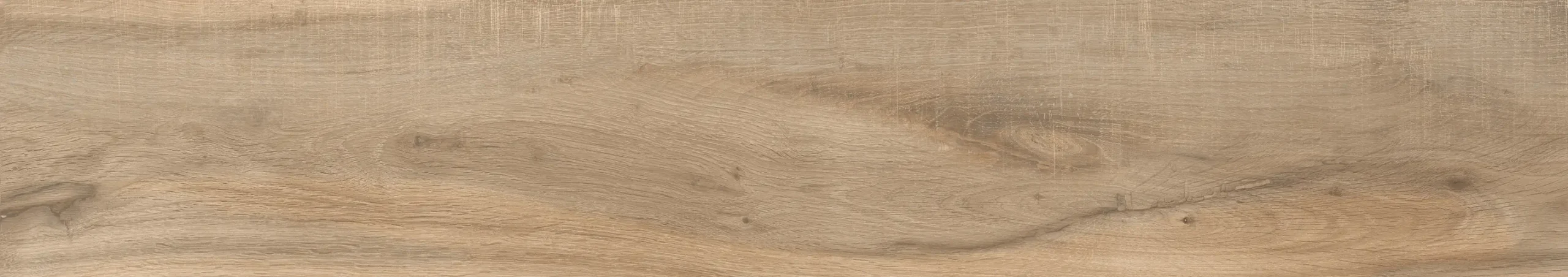 MAPLE COLOR OLIVE - Image 6