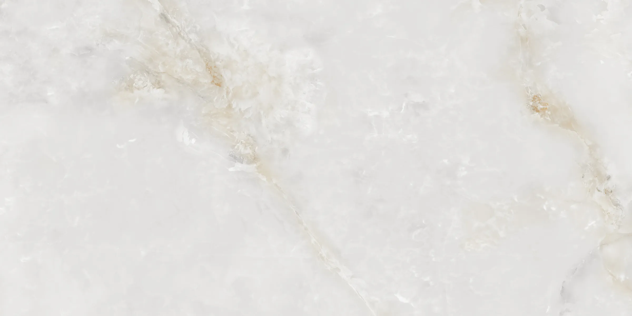 Skyrose White - Image 2
