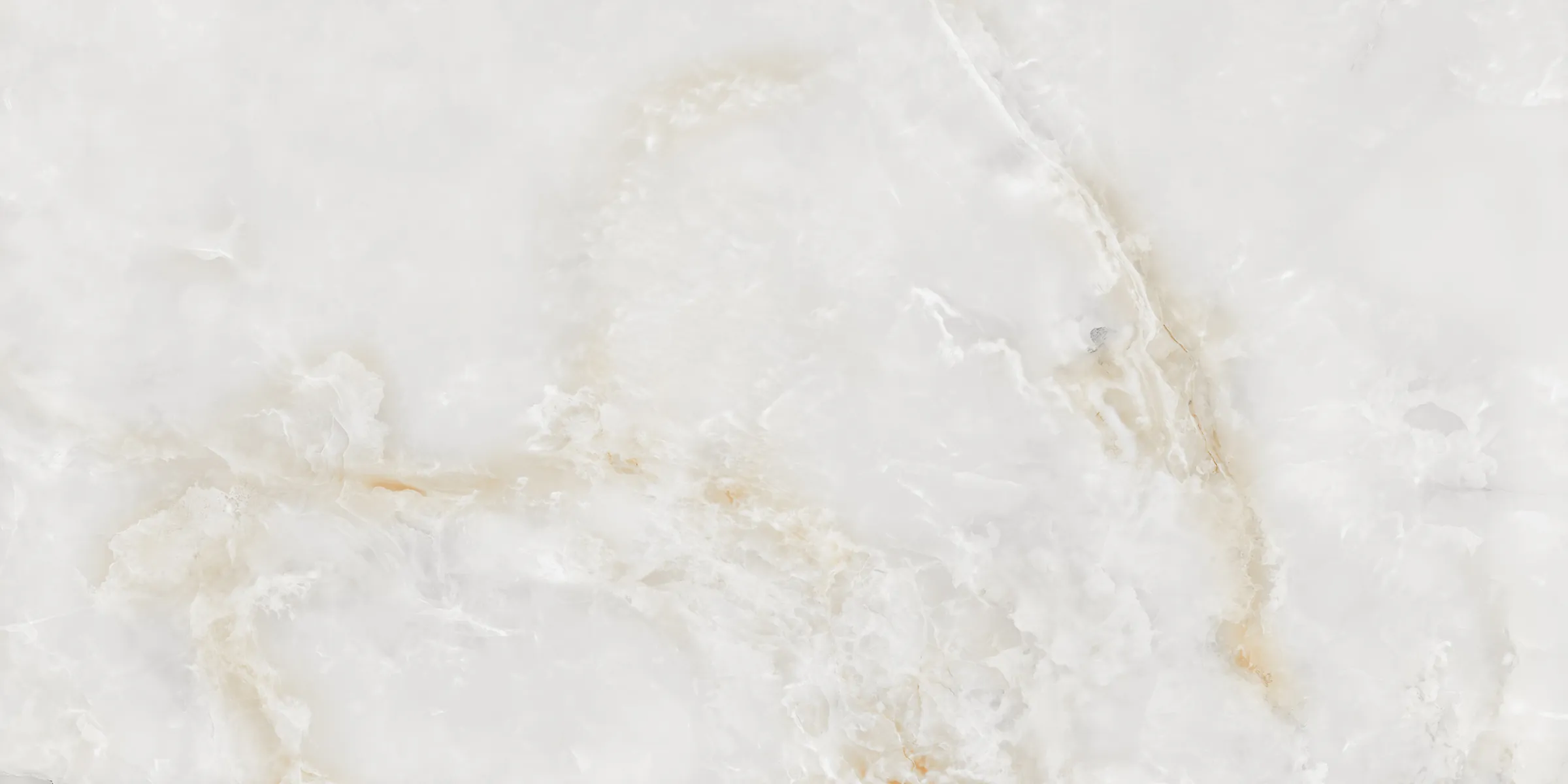 Skyrose White - Image 3