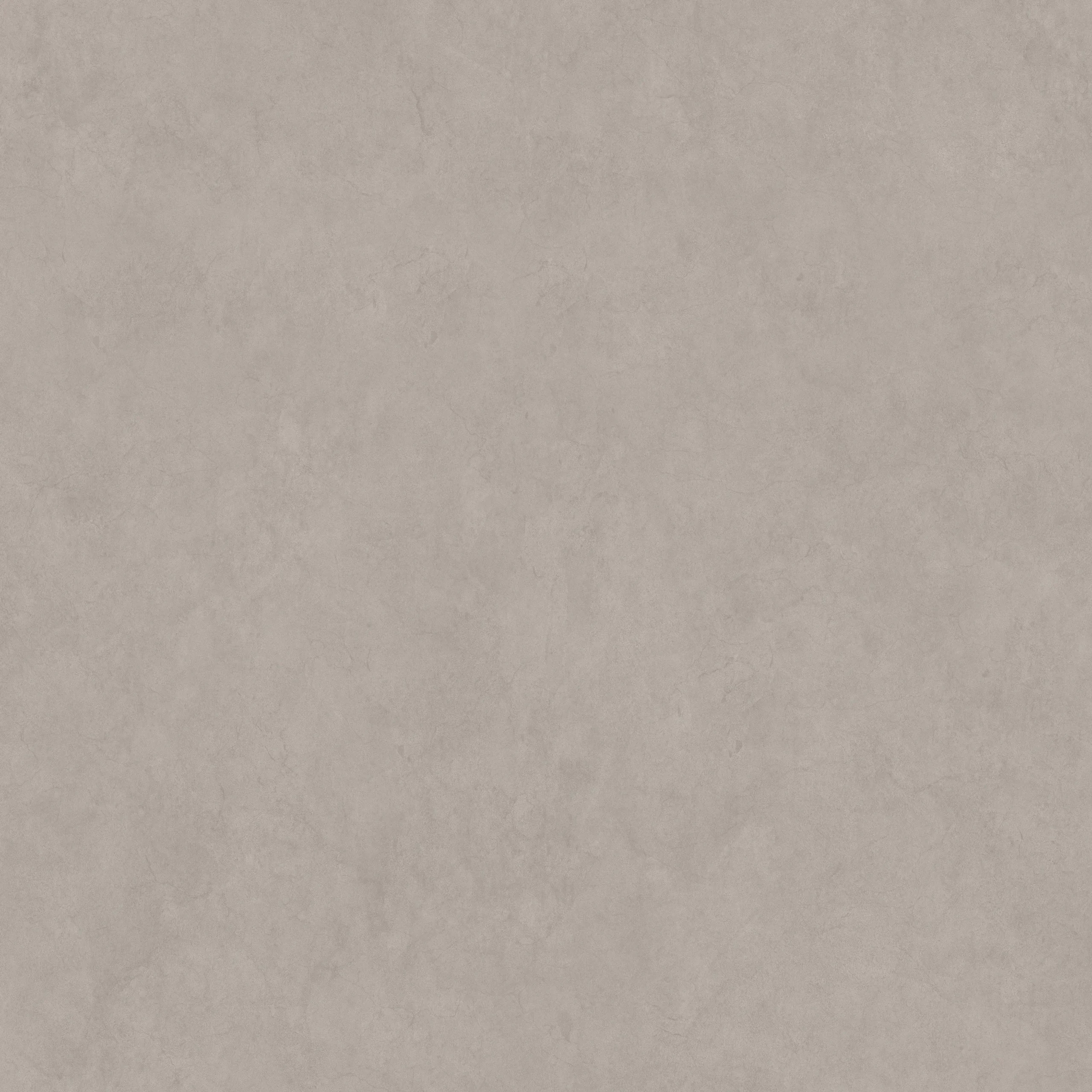 Softone Champagne - Image 3