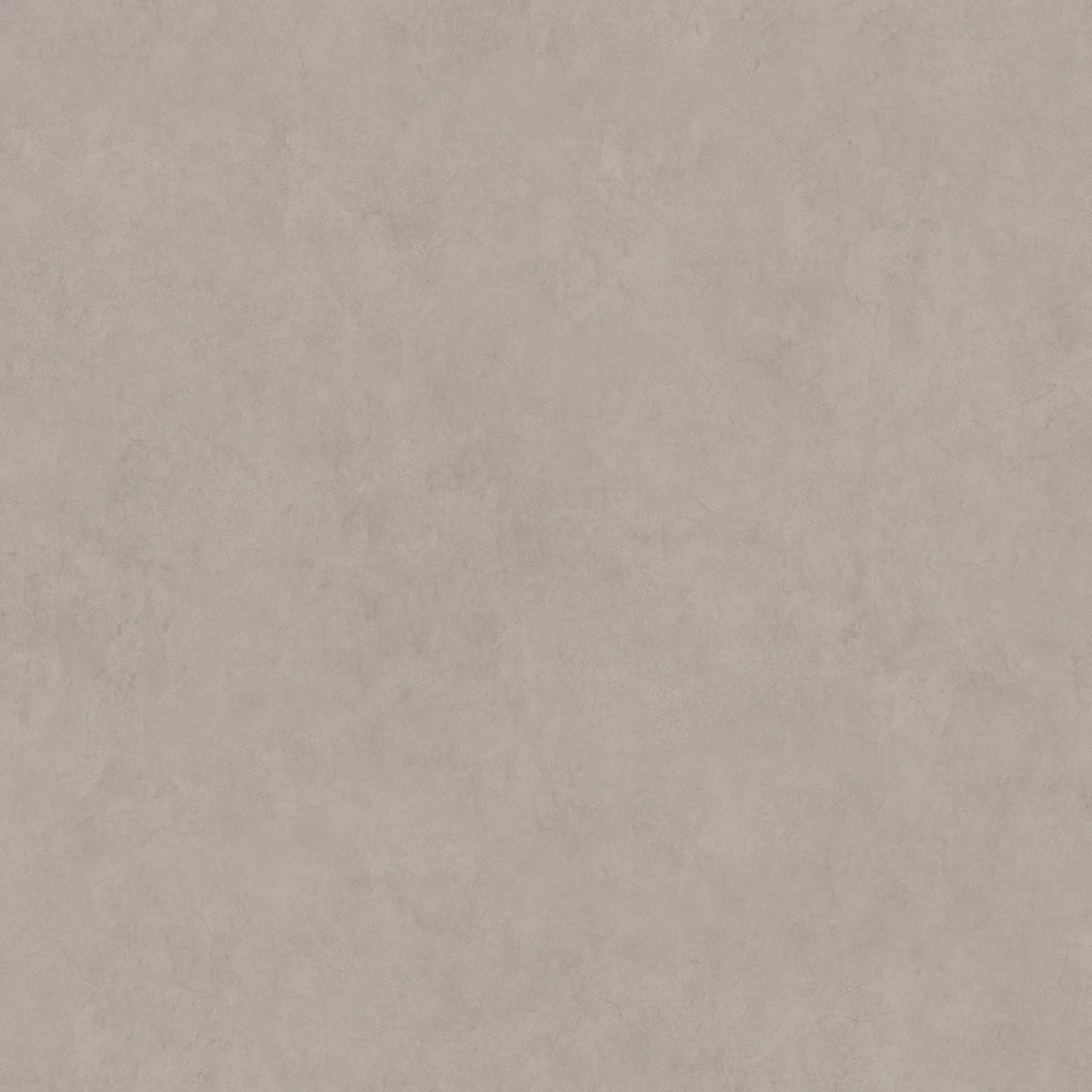 Softone Champagne - Image 4
