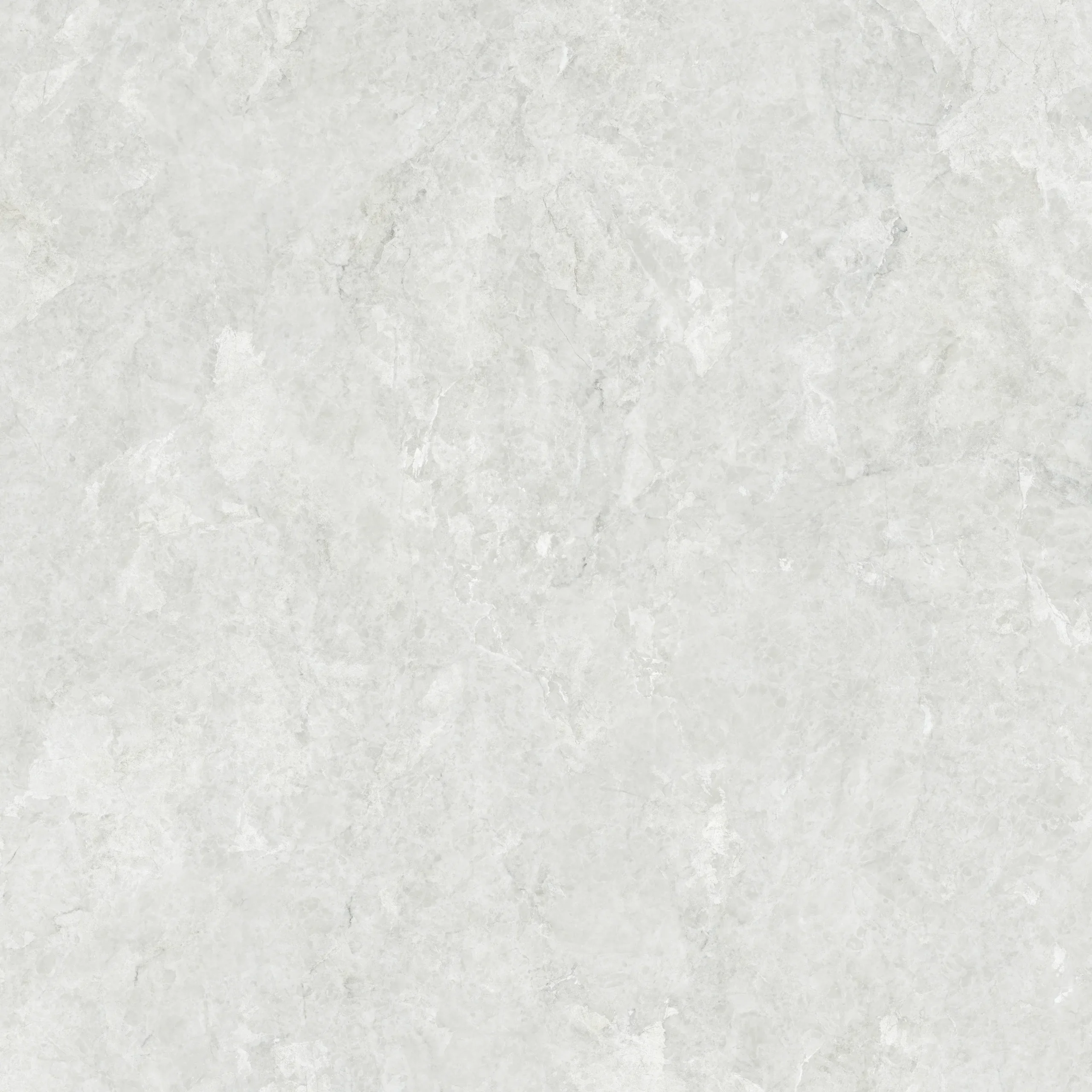 Viva Gris - Image 2