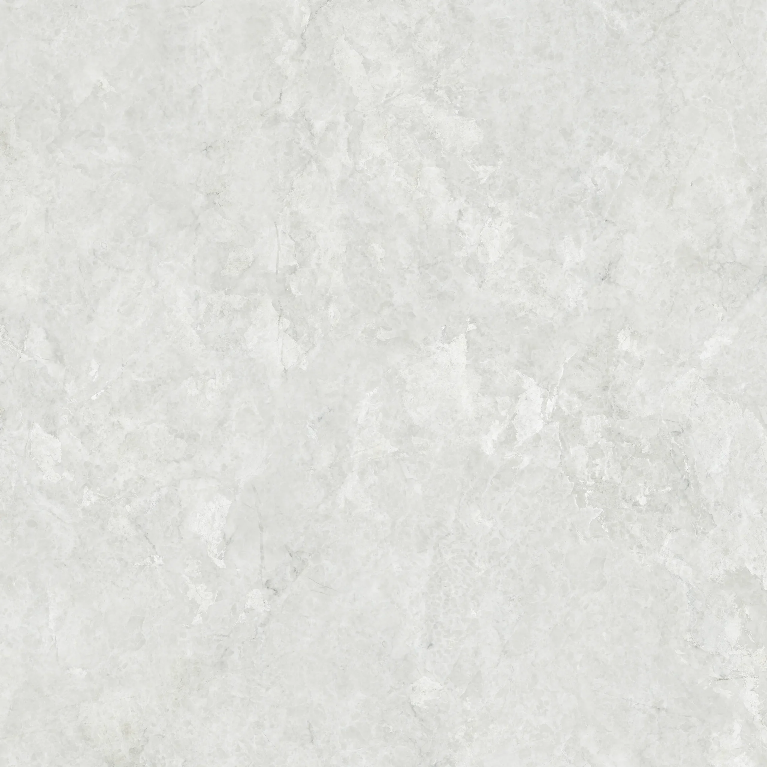 Viva Gris - Image 4